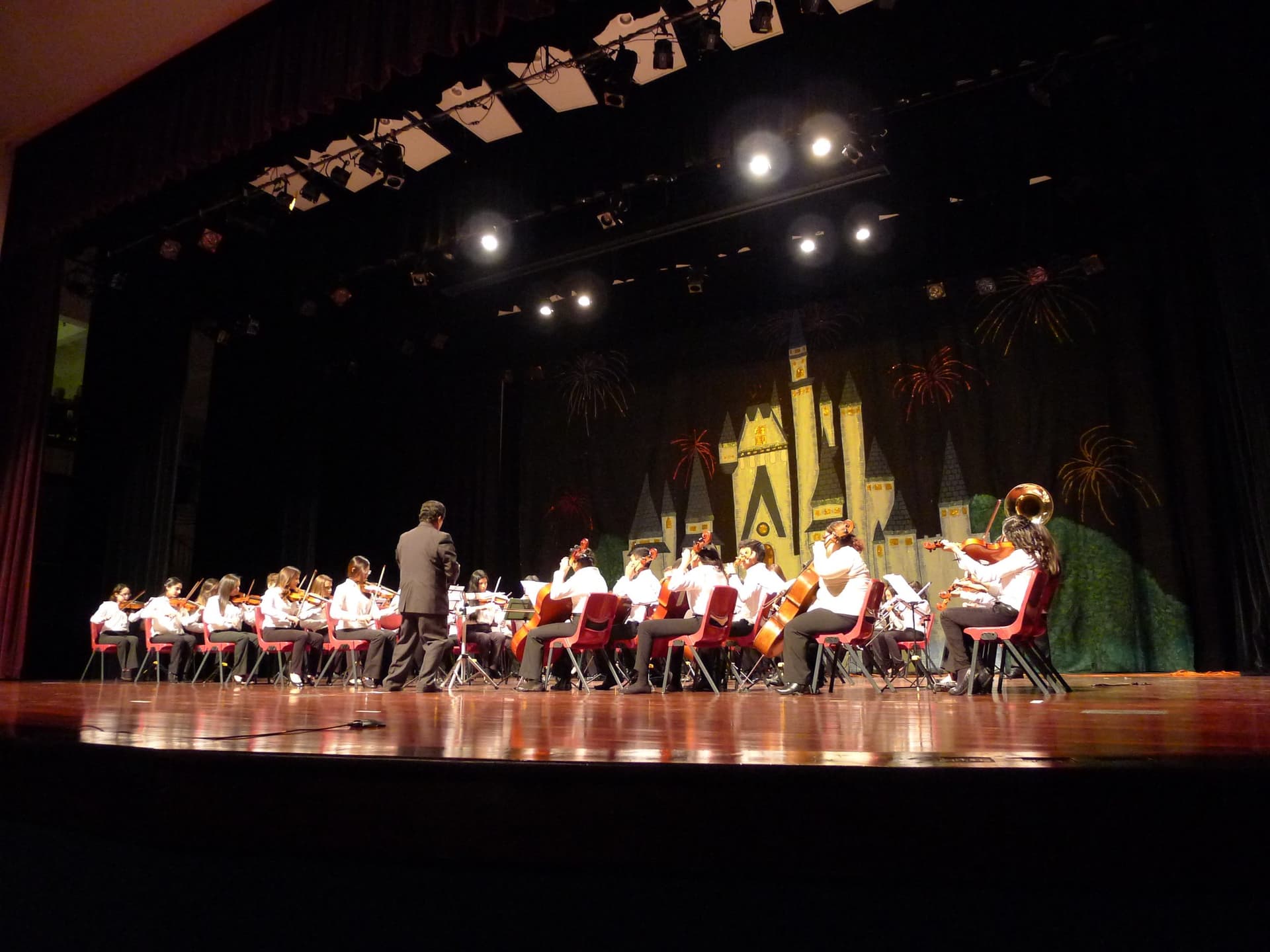 The school orchestra seated on stage before a performance